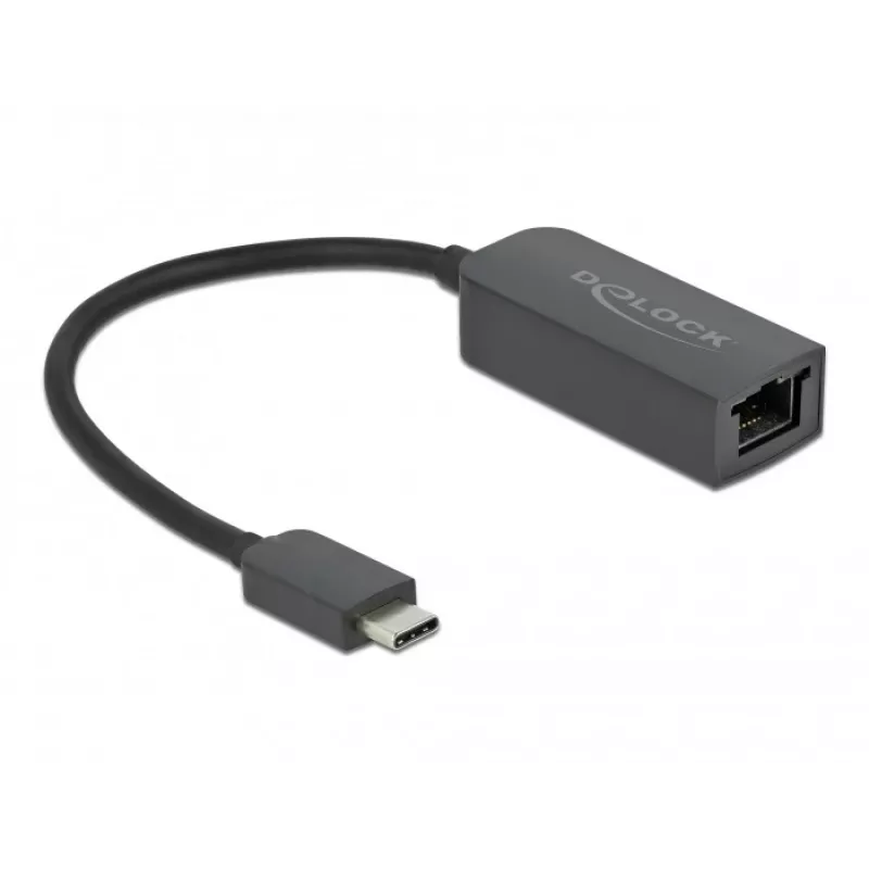 Adaptér USB Type-C konektor samec na 2,5 Gigabit LAN kompaktný DeLOCK 66645