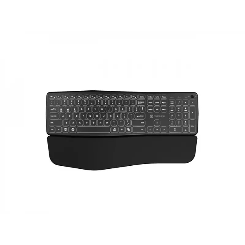 NATEC PORIFERA klávesnica Home/Office Bluetooth QWERTY US International čierna