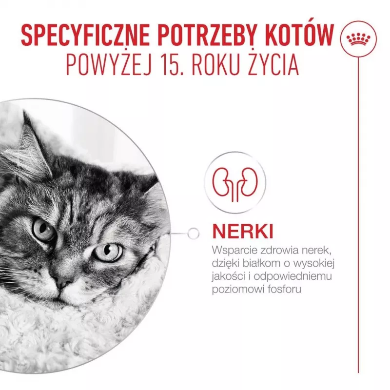 ROYAL CANIN Ageing 15+ suché krmivo pre mačky – 4 kg