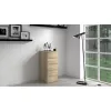 Topeshop W5 komoda SONOMA