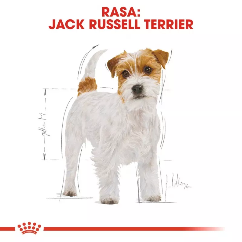 ROYAL CANIN Jack Russell Adult - suché krmivo pre psov - 7,5 kg