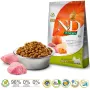 Farmina Pet Food DIVIAČINA A JABLKO ADULT MINI