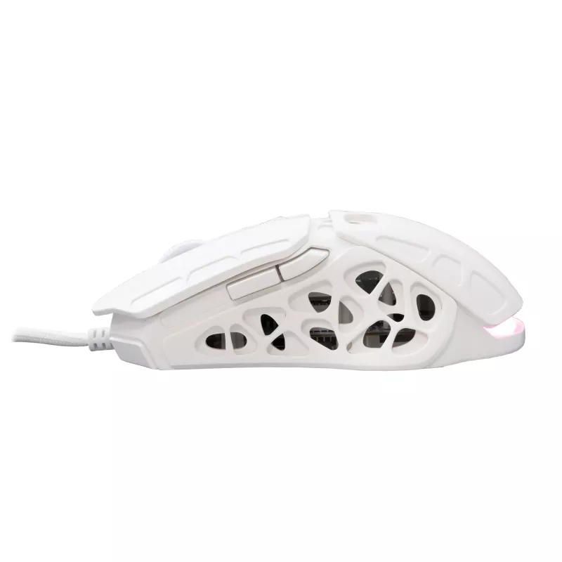 Myš White Shark GM-5016 Ector White USB