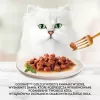 Purina mokré krmivo pre mačky 85 g