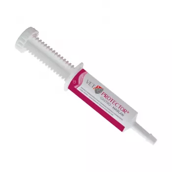 Tekutý doplnok na podporu čriev JM Sante VET PROTECTOR Gastro Butyrate 60 ml pre psy a mačky, výživový doplnok, bez sóje, bez lepku