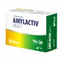 VETFOOD Amylactiv digest pre psov a mačky 30 kapsúl