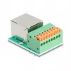 DeLOCK 90652 káblový adaptér RJ45 8-pin svorkovnica zelený strieborný