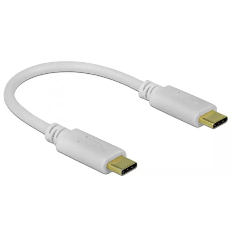 Delock - USB-C/napájací kábel - 24-pinový USB-C konektor samec na 24-pinový USB-C konektor samec - 5 A - 15 cm - USB napájanie (100 W), podporuje Power Delivery 2.0 - biely (85357)