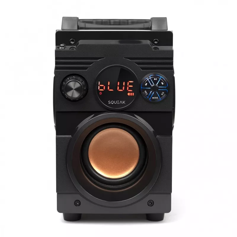 Squeak Bassblaster Bluetooth 5.1 reproduktor, FM rádio, MP3 prehrávač SQ1001
