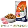 FARMINA N&D Pumpkin Lamb&Blueberry Adult Medium & Maxi - suché krmivo pre psy - 12 kg