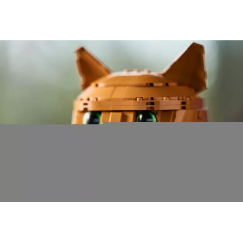 LEGO IDEAS 21376 Oranžová mačka
