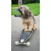 Longboard Muuwmi Lights GLOW ABEC 7 s osvetlenými kolieskami, čierna/zelená