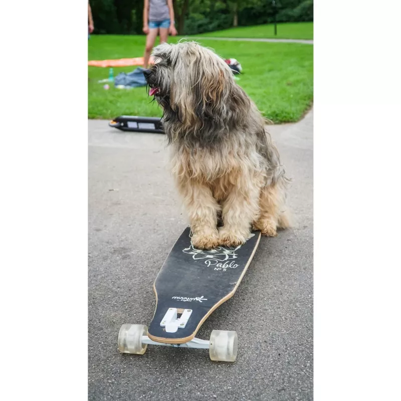 Longboard Muuwmi Lights GLOW ABEC 7 s osvetlenými kolieskami, čierna/zelená