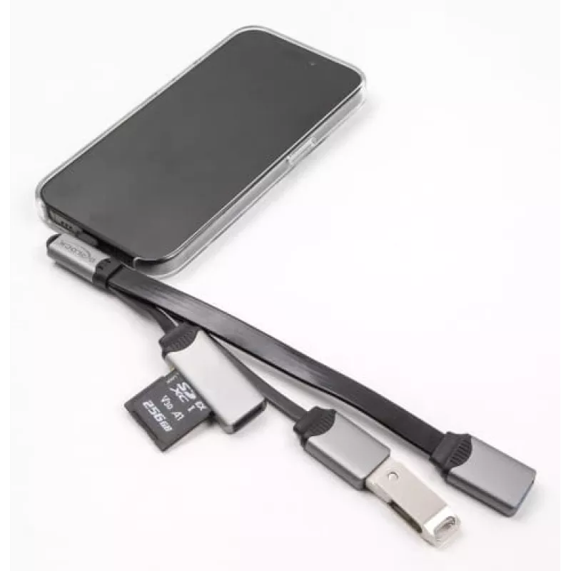 DeLOCK 64303 USB 3.2 Gen 1 Type-C hub 5000 Mbit/s sivý