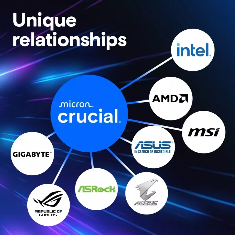16 GB Crucial Pro modul - DIMM 288-PIN Low Profile - 6000 MHz / PC5-48000 - CL48 - 1.1 V - unbuffered - on-die ECC - matný čierny