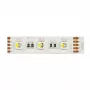 Synergy 21 LED Flex Strip 5050 - 60 RGB DC24V + RGB-W one chip nw IP68