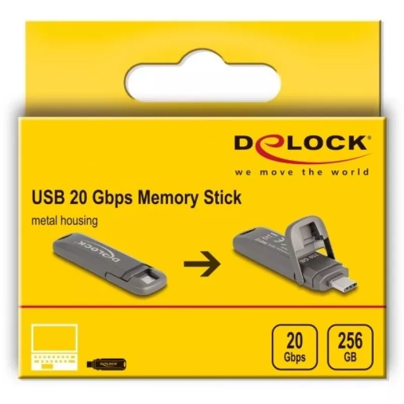 USB flash disk DeLOCK 54012 256 GB USB Type-C sivý