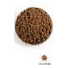 ORIJEN Regional Red - suché krmivo pre psov - 6 kg