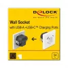 DeLOCK 11489 zásuvka CEE 7/3 + USB biela 250V 16A