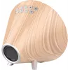 Nasa WSP1700 drevo meteostanica/reproduktor BT Schiff