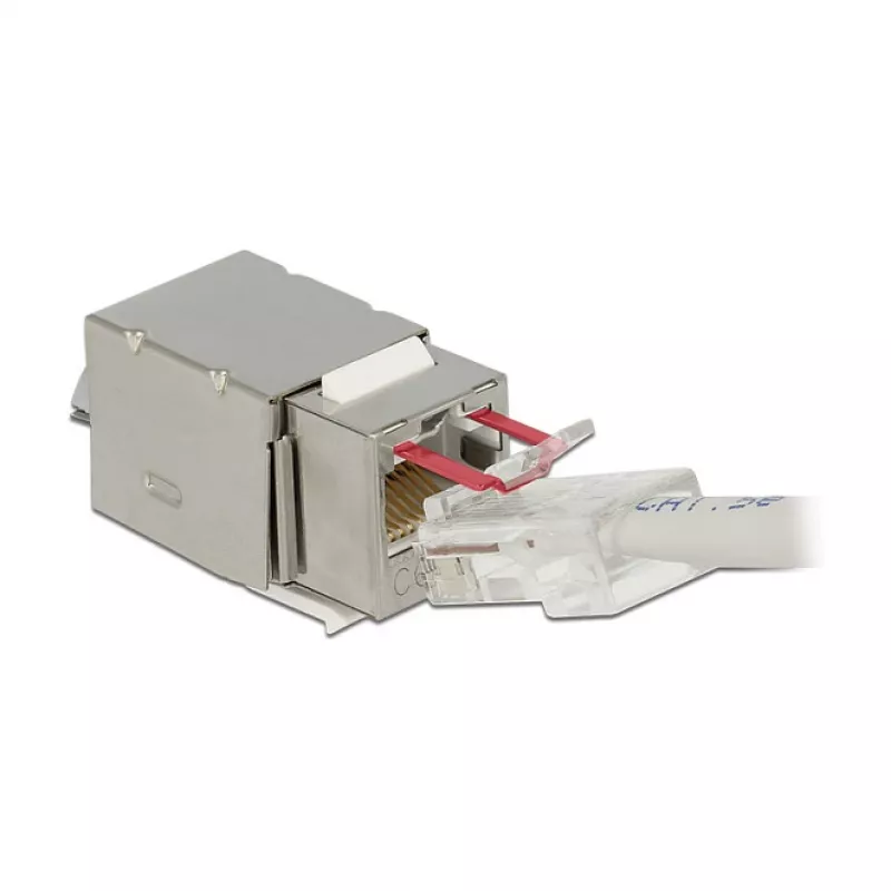 Delock 86404 modul Keystone RJ45 Secure Cat.6 na LSA, biely