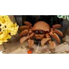 LEGO ICONS 10366 Tropické akvárium
