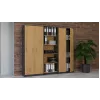 Topeshop OLIV 2D ANT/ART KPL knižnica