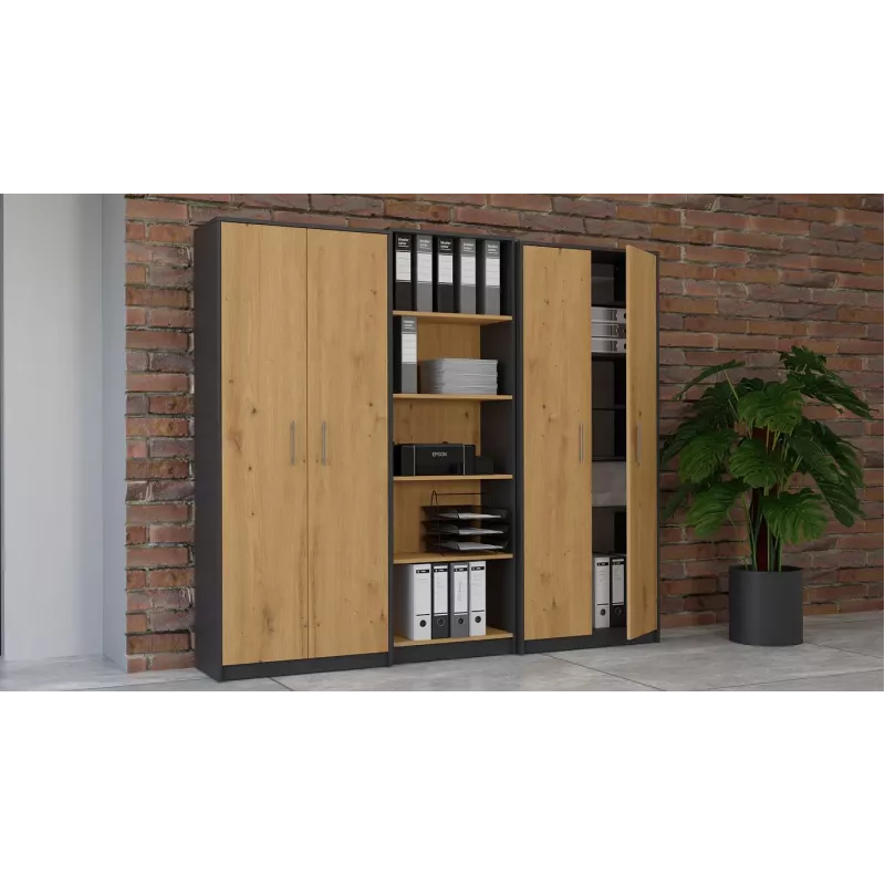 Topeshop OLIV 2D ANT/ART KPL knižnica