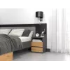Top E Shop M1 ANTRACYT/ARTISAN nočný stolík, 2 zásuvky, dub