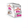 Mokré krmivo pre psy Royal Canin Exigent Meat Universal 12×85 g — hydina, dospelé, pre vyberavých psov