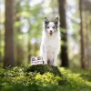 RAW PALEO Puppy Monoprotein Beef - mokré krmivo pre šteniatka - 400 g