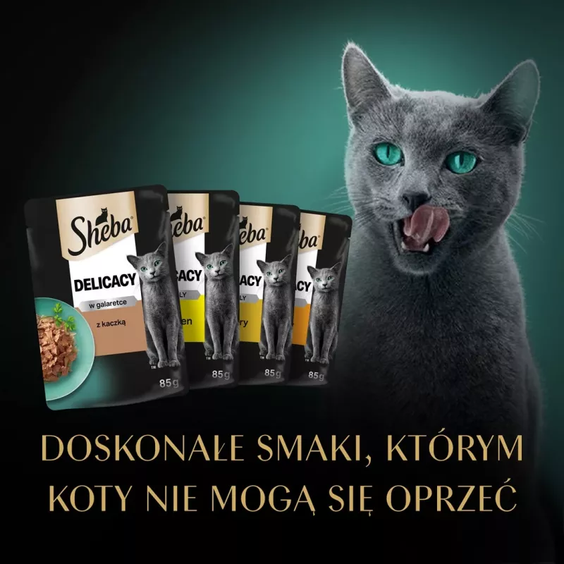 SHEBA Delicacy hydinová chuť v želé - mokré krmivo pre mačky - 40x85 g