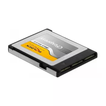 Pamäťová karta DeLOCK 54066 256 GB CFexpress