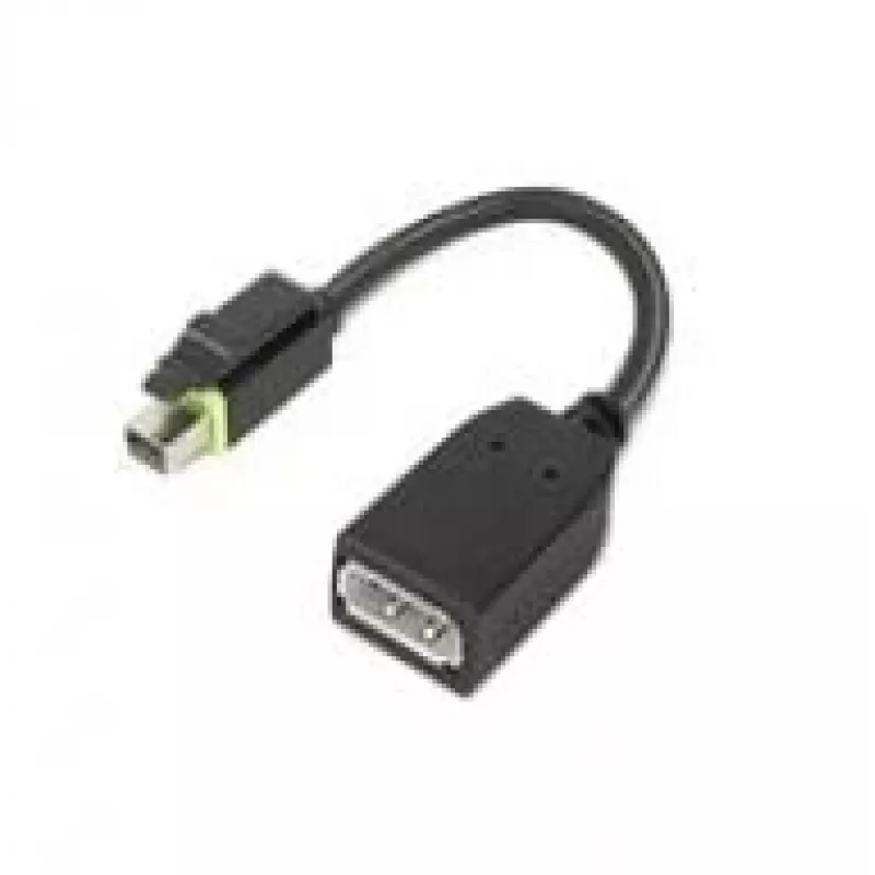 Lenovo 4X90Q93975 video kábel adaptér Mini DisplayPort DisplayPort čierny