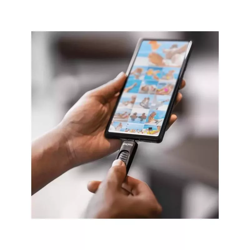 USB flash disk SanDisk 128 GB USB Type-C SDCZ480-128G-G46