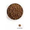 ORIJEN Dog Original - suché krmivo pre psov - 2kg