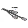 DeLOCK 64303 USB 3.2 Gen 1 Type-C hub 5000 Mbit/s sivý