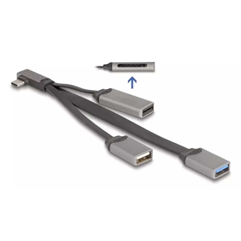 DeLOCK 64303 USB 3.2 Gen 1 Type-C hub 5000 Mbit/s sivý