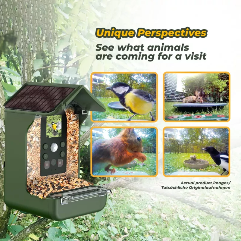 EASYPIX Bird Camera Easypix Bird Cam 10123 1080p HD nočné videnie
