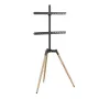 Príslušenstvo k TV podlahový stojan 32-65/TRIPOD TVS-65S-01 Gembird