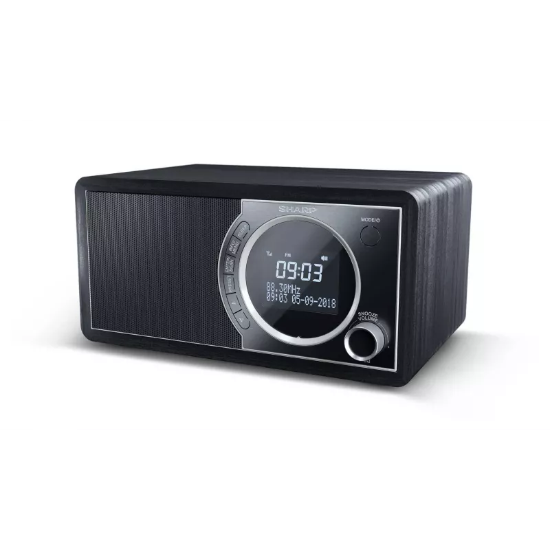 Sharp DR-450 digitálne rádio – čierna, osobné, digitálne, DAB, DAB+, FM, 87,5 – 108 MHz, 174,928 – 239,2 MHz, 3 W