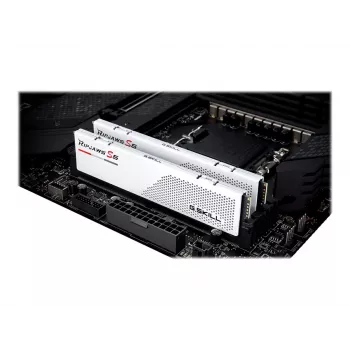 DIMM 32 GB DDR5-5600 (2x 16 GB) Dual-Kit, pamäť biela, F5-5600J4040C16GX2-RS5W, Ripjaws S5, INTEL XMP