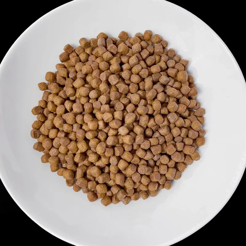 VET RESPONSE Renal - suché krmivo pre psov - 8 kg
