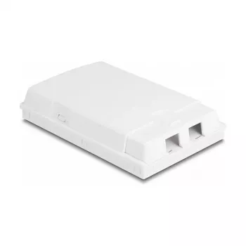 DeLOCK optická zásuvka 2 x SC Simplex LC Duplex biela