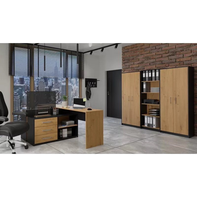Topeshop OLIV 2D ANT/ART KPL knižnica