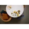 LEGO BOTANICALS 11502 Kytica slnečníc