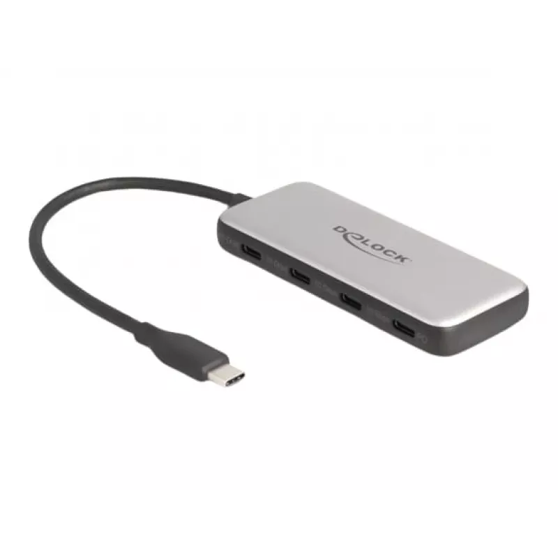 DeLOCK 64261 USB 3.2 Gen 1 Type-C hub 10000 Mbit/s čierny sivý