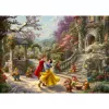 Puzzle Schmidt Spiele 59625 blokové puzzle 1000 dielikov Cartoons