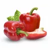 PNOS paprika Ozarowska obalené semená, balenie 50 ks