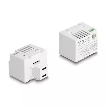 DeLOCK Keystone modul 41479 2 x USB Type-C PD 20W biely